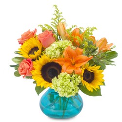 Sunshine Day from Monrovia Floral in Monrovia, CA