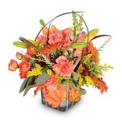 Leaf Your Worries Behind from Monrovia Floral in Monrovia, CA