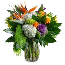 Tropical Blends from Monrovia Floral in Monrovia, CA