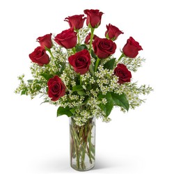 Swoon Over Me Dozen Red Roses from Monrovia Floral in Monrovia, CA