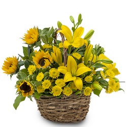 Basket of Sunshine from Monrovia Floral in Monrovia, CA