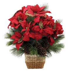 Natural Poinsettia from Monrovia Floral in Monrovia, CA