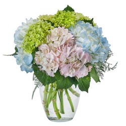 Southern Charm from Monrovia Floral in Monrovia, CA
