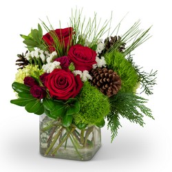 Wintertime Beauty from Monrovia Floral in Monrovia, CA