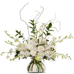 White Elegance from Monrovia Floral in Monrovia, CA
