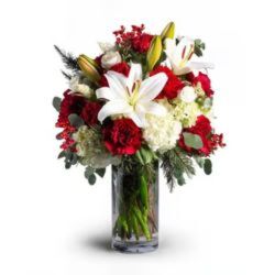 Scarlet Snowfall from Monrovia Floral in Monrovia, CA Scarlet Snowfall from Monrovia Floral in Monrovia, CA