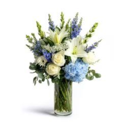 Dreidel Dreams from Monrovia Floral in Monrovia, CA