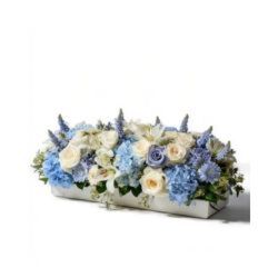 Blue Mirage from Monrovia Floral in Monrovia, CA