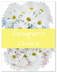 Designers Choice - New Baby from Monrovia Floral in Monrovia, CA