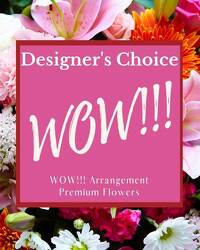 Designer's Choice - WOW! from Monrovia Floral in Monrovia, CA