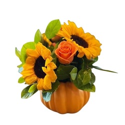 Pumpkin Dream Bouquet from Monrovia Floral in Monrovia, CA