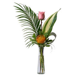 Island Rose from Monrovia Floral in Monrovia, CA