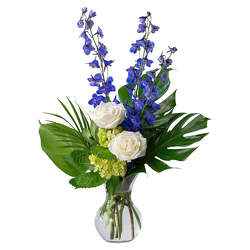Speak to Me from Monrovia Floral in Monrovia, CA