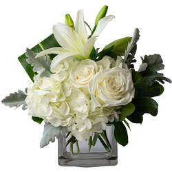 Pearl from Monrovia Floral in Monrovia, CA
