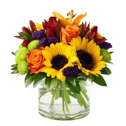 Colorfall from Monrovia Floral in Monrovia, CA