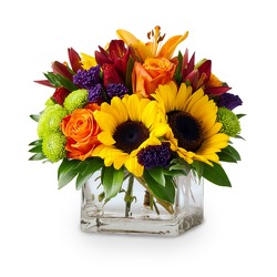 Colorful from Monrovia Floral in Monrovia, CA