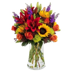 Amber Blaze from Monrovia Floral in Monrovia, CA