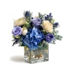 Twilight Snow from Monrovia Floral in Monrovia, CA