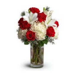 Christmas Morning Bloom from Monrovia Floral in Monrovia, CA