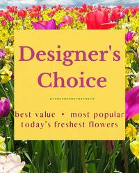 Designer's Choice from Monrovia Floral in Monrovia, CA