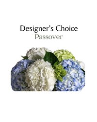 Designer's Choice - Passover from Monrovia Floral in Monrovia, CA