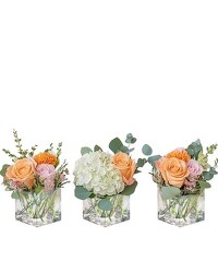 Three's Company from Monrovia Floral in Monrovia, CA