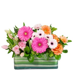 April Showers from Monrovia Floral in Monrovia, CA