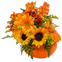 Pumpkin  Daze from Monrovia Floral in Monrovia, CA