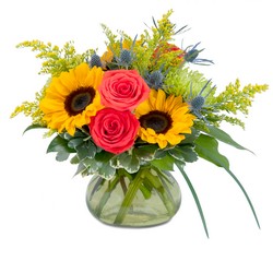 Sunlit Beauty from Monrovia Floral in Monrovia, CA