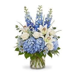 Azure Dreams from Monrovia Floral in Monrovia, CA Azure Dreams from Monrovia Floral in Monrovia, CA