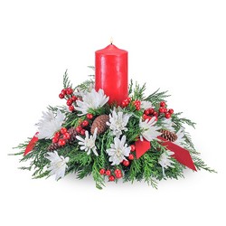 Glowing Noel from Monrovia Floral in Monrovia, CA