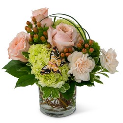 Expressions of Gratitude from Monrovia Floral in Monrovia, CA