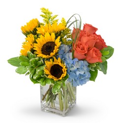 Summer Fun from Monrovia Floral in Monrovia, CA