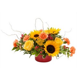 Harvest Garden from Monrovia Floral in Monrovia, CA