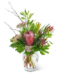 Posh Protea from Monrovia Floral in Monrovia, CA