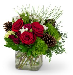 Wintertime Blooms from Monrovia Floral in Monrovia, CA