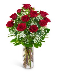 Dozen Red Roses and a Million Stars from Monrovia Floral in Monrovia, CA