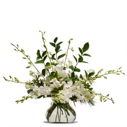 Simply White from Monrovia Floral in Monrovia, CA