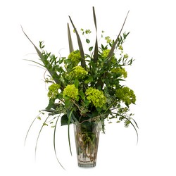 Natural Green from Monrovia Floral in Monrovia, CA