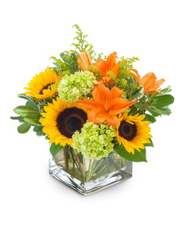 Beautiful Day from Monrovia Floral in Monrovia, CA