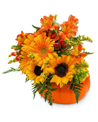 Pumpkin  Daze from Monrovia Floral in Monrovia, CA